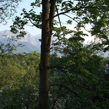Apartament Cicha Woda 扎科帕内 客房 照片